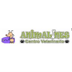 Centro Veterinario Animalines, Piedrabuena