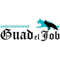 Guad El Job, Castro del Río