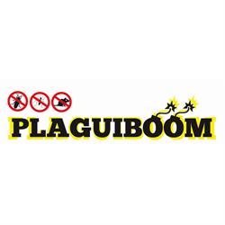 Plaguiboom, Oleiros