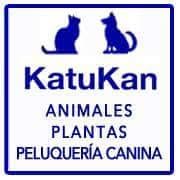 Katukan, Leioa