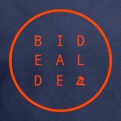 Colegio Mayor Bidealde, Bilbao