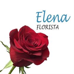 Elena Florista, Estella