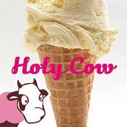 Holy Cow Gelateria Italiana, Leon, León