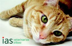 CLINICA VETERINARIA IAS, Bilbao