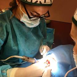 Clínica Dental Berreteaga, Altsasu