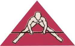GIMNASIO THEO, Madrid