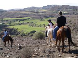 The Black Horse Canarias, El Salobre