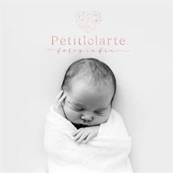 Petitlolarte, Landabarri