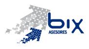 Bix Asesores Gipuzkoa SL, Irun