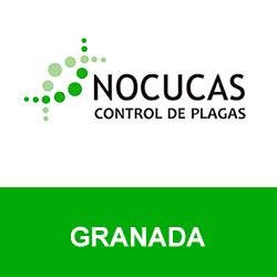 Nocucas Control de Plagas Granada