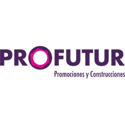 Profutur 2002 S.L., Muro