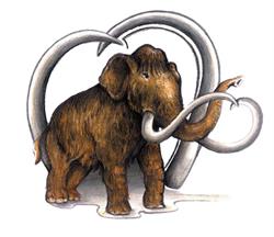 Mamut Actividades, Madrid