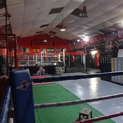 Club de Boxeo Pitbull Team (Sevilla)