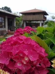 Hotel Rural Ovio, Nueva