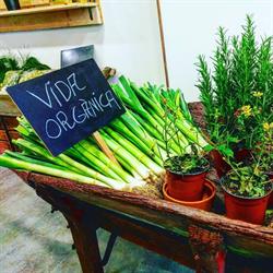 Espai Orgànic - El Jardí salut natural, Gavà