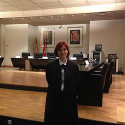 RMG Asesores, Móstoles
