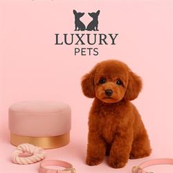Luxury Pets, Madrid