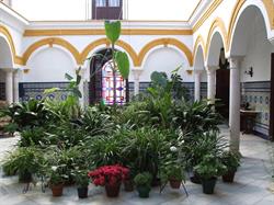 La Casa en el Centro. ALOJAMIENTO TURISTICO, Écija