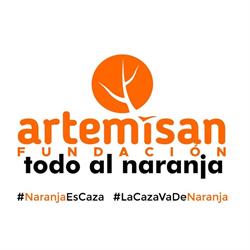 Fundación Artemisan, Ciudad Real