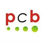 Pc basauri, Basauri