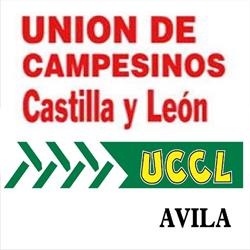UCCL-AVILA, Ávila