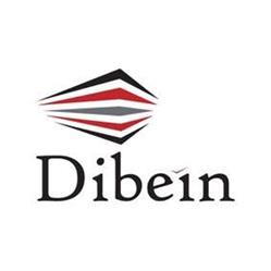Dibein, Madrid