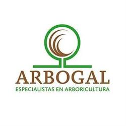 Arbogal 2007, Pontevedra