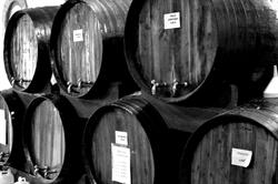Bodegas Mar Menor, Torre-Pacheco