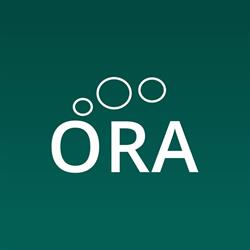 Orquesta Reino de Aragón, Zaragoza