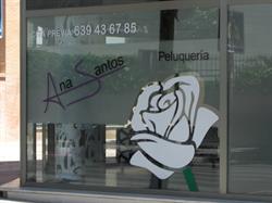 Peluquería Ana Santos, Colmenar Viejo