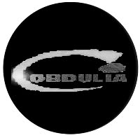 Supermercado Coviran Obdulia, Zafarraya