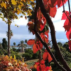Camping Santa Clara, Altea