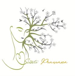 Centro de Yoga Pramana, Torrelavega