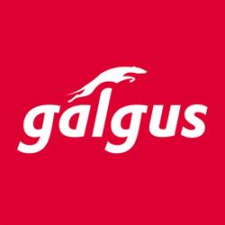 GALGUS, Camas