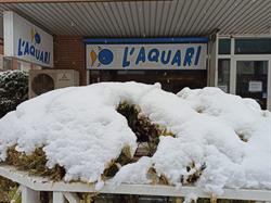 L' Aquari, Lleida