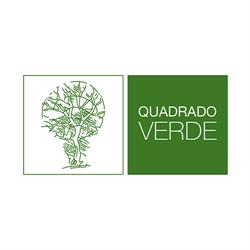 QUADRADO VERDE, Oleiros