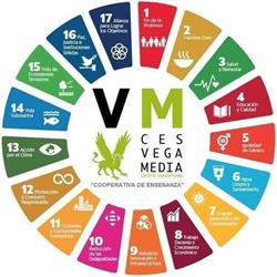CES Vega Media, Alguazas