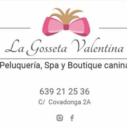 La Gosseta Valentina, Algemesí