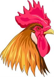 Comercio "El Gallo", Olvega