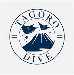 Tagoro Dive by Green Shark, La Restinga