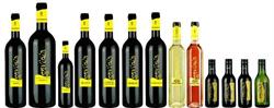 Bodegas Medina Hermoso Envidia, Medina de las Torres