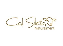 Cal sileta, Vallbona de Les Monges