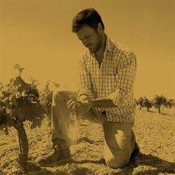 EL VINO DEL DESIERTO, Lanaja