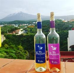 Viña Engracia, Icod de los Vinos