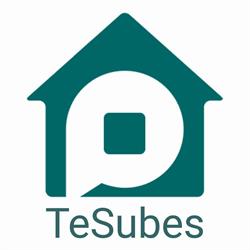 TeSubes, Massanassa