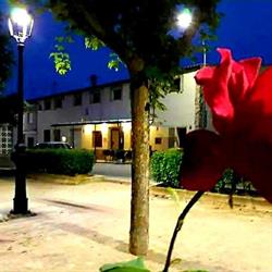 Restaurante "El Bar de Benagéber"