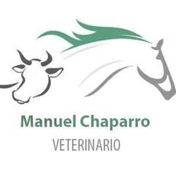 VETERINARIO CLÍNICO MANUEL CHAPARRO SANZ, Madrigalejo