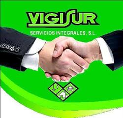 Vigisur Servicios Integrales, S.L., Salteras