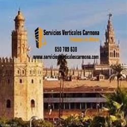 Servicios Verticales Carmona
