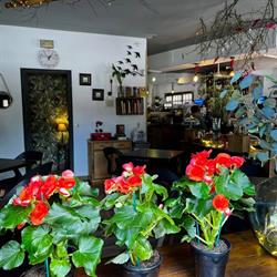 Cafetería Principado de Asturias, Luanco